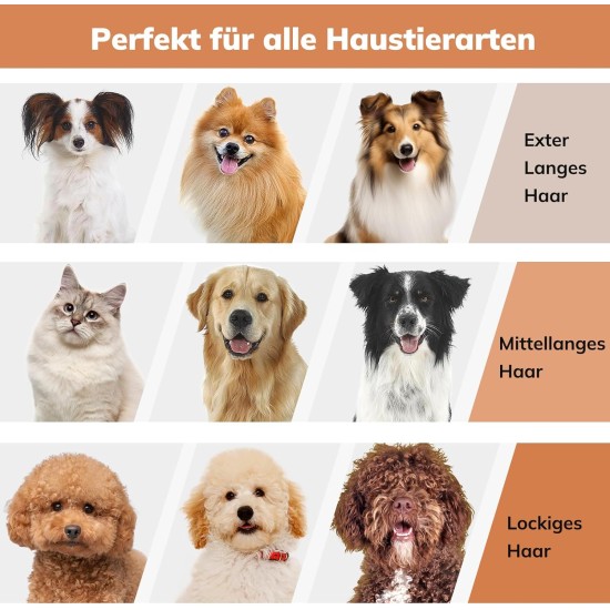 Dog Clipper with Vacuum Cleaner, morpilot Dog Vacuum Cleaner with Brush Accessories for Dog Cat 12000Pa Pet Hair Trimmer Electric Dog Clipper with 3L Dust Container Dog Clipper with Vacuum Cleaner, morpilot Dog Vacuum Cleaner with Brush Accessories for Dog Cat 12000Pa Pet Hair Trimmer Electric Dog Clipper with 3L Dust Container