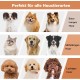 Dog Clipper with Vacuum Cleaner, morpilot Dog Vacuum Cleaner with Brush Accessories for Dog Cat 12000Pa Pet Hair Trimmer Electric Dog Clipper with 3L Dust Container Dog Clipper with Vacuum Cleaner, morpilot Dog Vacuum Cleaner with Brush Accessories for Dog Cat 12000Pa Pet Hair Trimmer Electric Dog Clipper with 3L Dust Container