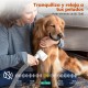 Dog Clipper with Vacuum Cleaner, morpilot Dog Vacuum Cleaner with Brush Accessories for Dog Cat 12000Pa Pet Hair Trimmer Electric Dog Clipper with 3L Dust Container Dog Clipper with Vacuum Cleaner, morpilot Dog Vacuum Cleaner with Brush Accessories for Dog Cat 12000Pa Pet Hair Trimmer Electric Dog Clipper with 3L Dust Container