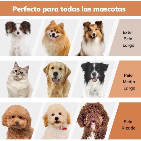Dog Clipper with Vacuum Cleaner, morpilot Dog Vacuum Cleaner with Brush Accessories for Dog Cat 12000Pa Pet Hair Trimmer Electric Dog Clipper with 3L Dust Container Dog Clipper with Vacuum Cleaner, morpilot Dog Vacuum Cleaner with Brush Accessories for Dog Cat 12000Pa Pet Hair Trimmer Electric Dog Clipper with 3L Dust Container
