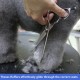 Dog Grooming Scissors, Curved Scissors for Dog Grooming, 7.5 Inches, 30 Degree Curved Blade, Lightweight Pet Scissors for Trimming Face and Paws Dog Grooming Scissors, Curved Scissors for Dog Grooming, 7.5 Inches, 30 Degree Curved Blade, Lightweight Pet Scissors for Trimming Face and Paws
