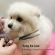 Dog Grooming Scissors, Curved Scissors for Dog Grooming, 7.5 Inches, 30 Degree Curved Blade, Lightweight Pet Scissors for Trimming Face and Paws Dog Grooming Scissors, Curved Scissors for Dog Grooming, 7.5 Inches, 30 Degree Curved Blade, Lightweight Pet Scissors for Trimming Face and Paws