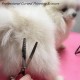 Dog Grooming Scissors, Curved Scissors for Dog Grooming, 7.5 Inches, 30 Degree Curved Blade, Lightweight Pet Scissors for Trimming Face and Paws Dog Grooming Scissors, Curved Scissors for Dog Grooming, 7.5 Inches, 30 Degree Curved Blade, Lightweight Pet Scissors for Trimming Face and Paws