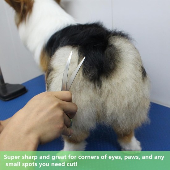 Dog Grooming Scissors, Curved Scissors for Dog Grooming, 7.5 Inches, 30 Degree Curved Blade, Lightweight Pet Scissors for Trimming Face and Paws Dog Grooming Scissors, Curved Scissors for Dog Grooming, 7.5 Inches, 30 Degree Curved Blade, Lightweight Pet Scissors for Trimming Face and Paws