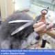 Dog Grooming Scissors, Curved Scissors for Dog Grooming, 7.5 Inches, 30 Degree Curved Blade, Lightweight Pet Scissors for Trimming Face and Paws Dog Grooming Scissors, Curved Scissors for Dog Grooming, 7.5 Inches, 30 Degree Curved Blade, Lightweight Pet Scissors for Trimming Face and Paws