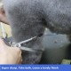 Dog Grooming Scissors, Curved Scissors for Dog Grooming, 7.5 Inches, 30 Degree Curved Blade, Lightweight Pet Scissors for Trimming Face and Paws Dog Grooming Scissors, Curved Scissors for Dog Grooming, 7.5 Inches, 30 Degree Curved Blade, Lightweight Pet Scissors for Trimming Face and Paws
