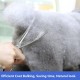 Dog Grooming Scissors, Curved Scissors for Dog Grooming, 7.5 Inches, 30 Degree Curved Blade, Lightweight Pet Scissors for Trimming Face and Paws Dog Grooming Scissors, Curved Scissors for Dog Grooming, 7.5 Inches, 30 Degree Curved Blade, Lightweight Pet Scissors for Trimming Face and Paws