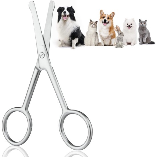 Dog Hair Scissors, Fur Scissors, 10.5 cm Stainless Steel Fur Scissors, Paw Scissors, Rounded Scissors, Dog Paw Scissors for Dogs, Pet Scissors, Dog Hair Cutting for Perfect Grooming Dog Hair Scissors, Fur Scissors, 10.5 cm Stainless Steel Fur Scissors, Paw Scissors, Rounded Scissors, Dog Paw Scissors for Dogs, Pet Scissors, Dog Hair Cutting for Perfect Grooming