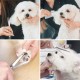 Dog Hair Scissors, Fur Scissors, 10.5 cm Stainless Steel Fur Scissors, Paw Scissors, Rounded Scissors, Dog Paw Scissors for Dogs, Pet Scissors, Dog Hair Cutting for Perfect Grooming Dog Hair Scissors, Fur Scissors, 10.5 cm Stainless Steel Fur Scissors, Paw Scissors, Rounded Scissors, Dog Paw Scissors for Dogs, Pet Scissors, Dog Hair Cutting for Perfect Grooming