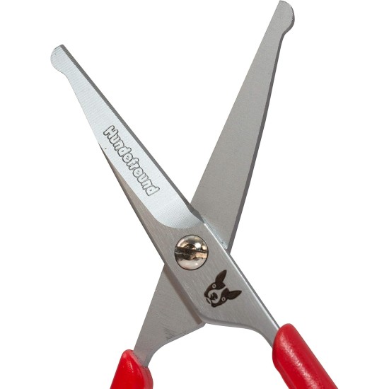 Dog Scissors - Set of 2 Scissors for Grooming Dogs - Stainless Steel Dog Grooming Scissors with Rounded Tip - Ideal for Paw Care and Hair Cutting Dog Scissors - Set of 2 Scissors for Grooming Dogs - Stainless Steel Dog Grooming Scissors with Rounded Tip - Ideal for Paw Care and Hair Cutting