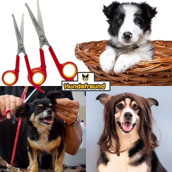 Dog Scissors - Set of 2 Scissors for Grooming Dogs - Stainless Steel Dog Grooming Scissors with Rounded Tip - Ideal for Paw Care and Hair Cutting Dog Scissors - Set of 2 Scissors for Grooming Dogs - Stainless Steel Dog Grooming Scissors with Rounded Tip - Ideal for Paw Care and Hair Cutting