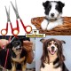 Dog Scissors - Set of 2 Scissors for Grooming Dogs - Stainless Steel Dog Grooming Scissors with Rounded Tip - Ideal for Paw Care and Hair Cutting