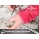 Dog Scissors – Curved Scissors, Micro Fine Teeth Dog Scissors – Curved Scissors, Micro Fine Teeth