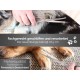 Dog Scissors – Curved Scissors, Micro Fine Teeth Dog Scissors – Curved Scissors, Micro Fine Teeth