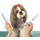 Dog Scissors, 5-in-1 Dog Scissors Set, Dog Shears, Curved, Stainless Steel Dog Grooming Set, with Steel Comb and Leather Case for Dogs, Cats, Pets