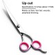 Dog Scissors, 6 Inch Professional Dog Grooming Thinning Scissors & Curved & Straight Hair Scissors, Stainless Steel Curved Fur Scissors for Dogs, Cats, Hair Care