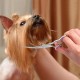 Dog Scissors, 6 Inch Professional Dog Grooming Thinning Scissors & Curved & Straight Hair Scissors, Stainless Steel Curved Fur Scissors for Dogs, Cats, Hair Care