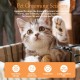 Dog Scissors, Curved Scissors for Dogs and Cats, Safety Round Tip Grooming Scissors, Stainless Steel Fur Scissors for Dogs and Cats Dog Scissors, Curved Scissors for Dogs and Cats, Safety Round Tip Grooming Scissors, Stainless Steel Fur Scissors for Dogs and Cats