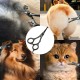 Dog Scissors, Curved Scissors for Dogs and Cats, Safety Round Tip Grooming Scissors, Stainless Steel Fur Scissors for Dogs and Cats Dog Scissors, Curved Scissors for Dogs and Cats, Safety Round Tip Grooming Scissors, Stainless Steel Fur Scissors for Dogs and Cats