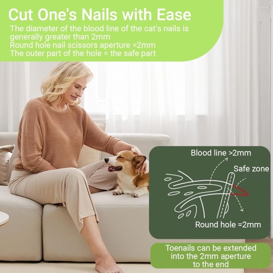 Dog Scissors, Curved Scissors for Dogs and Cats, Safety Round Tip Grooming Scissors, Stainless Steel Fur Scissors for Dogs and Cats Dog Scissors, Curved Scissors for Dogs and Cats, Safety Round Tip Grooming Scissors, Stainless Steel Fur Scissors for Dogs and Cats