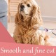 Dog Scissors, Curved Scissors for Dogs and Cats, Safety Round Tip Grooming Scissors, Stainless Steel Fur Scissors for Dogs and Cats Dog Scissors, Curved Scissors for Dogs and Cats, Safety Round Tip Grooming Scissors, Stainless Steel Fur Scissors for Dogs and Cats