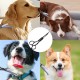 Dog Scissors, Curved Scissors for Dogs and Cats, Safety Round Tip Grooming Scissors, Stainless Steel Fur Scissors for Dogs and Cats Dog Scissors, Curved Scissors for Dogs and Cats, Safety Round Tip Grooming Scissors, Stainless Steel Fur Scissors for Dogs and Cats