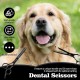Dog Scissors, Curved Scissors for Dogs and Cats, Safety Round Tip Grooming Scissors, Stainless Steel Fur Scissors for Dogs and Cats Dog Scissors, Curved Scissors for Dogs and Cats, Safety Round Tip Grooming Scissors, Stainless Steel Fur Scissors for Dogs and Cats