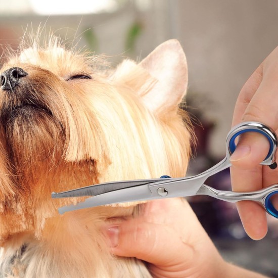 Dog Scissors, Curved Scissors for Dogs and Cats, Safety Round Tip Grooming Scissors, Stainless Steel Fur Scissors for Dogs and Cats Dog Scissors, Curved Scissors for Dogs and Cats, Safety Round Tip Grooming Scissors, Stainless Steel Fur Scissors for Dogs and Cats