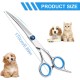 Dog Scissors, Thinning Scissors, Dog Scissors, Curved Scissors, Dog Fur Scissors for Dogs, Dogs and Cats, Safety Round Tip Grooming Scissors, (Blue Curved Scissors), Pack of 1 Dog Scissors, Thinning Scissors, Dog Scissors, Curved Scissors, Dog Fur Scissors for Dogs, Dogs and Cats, Safety Round Tip Grooming Scissors, (Blue Curved Scissors), Pack of 1