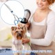 Dog Scissors, Thinning Scissors, Dog Scissors, Curved Scissors, Dog Fur Scissors for Dogs, Dogs and Cats, Safety Round Tip Grooming Scissors, (Blue Curved Scissors), Pack of 1 Dog Scissors, Thinning Scissors, Dog Scissors, Curved Scissors, Dog Fur Scissors for Dogs, Dogs and Cats, Safety Round Tip Grooming Scissors, (Blue Curved Scissors), Pack of 1