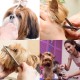 Dog Scissors with Round Tip, 5 in 1 Dog Scissors Set, Stainless Steel Cat Grooming Scissors, Dog Scissors Set for Full Body, Face, Nose and Ear Dog Scissors with Round Tip, 5 in 1 Dog Scissors Set, Stainless Steel Cat Grooming Scissors, Dog Scissors Set for Full Body, Face, Nose and Ear