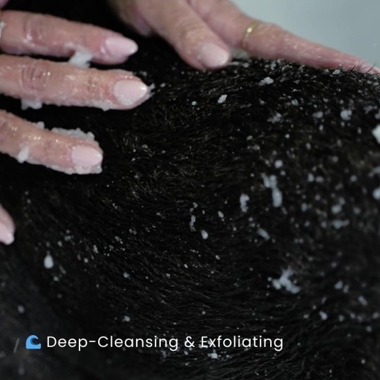 Dog Shampoo Coconut Dog Scrub Dog Shampoo Sensitive Dog Shampoo Against Odour Dog Shampoo Grooming Against Itching Deshedding Shampoo Dog Conditioner Anti Itching Dog Shampoo Coconut Dog Scrub Dog Shampoo Sensitive Dog Shampoo Against Odour Dog Shampoo Grooming Against Itching Deshedding Shampoo Dog Conditioner Anti Itching
