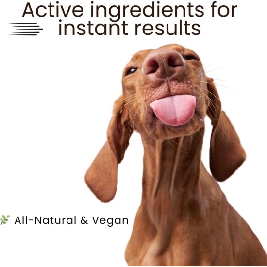 Dog Shampoo Coconut Dog Scrub Dog Shampoo Sensitive Dog Shampoo Against Odour Dog Shampoo Grooming Against Itching Deshedding Shampoo Dog Conditioner Anti Itching Dog Shampoo Coconut Dog Scrub Dog Shampoo Sensitive Dog Shampoo Against Odour Dog Shampoo Grooming Against Itching Deshedding Shampoo Dog Conditioner Anti Itching