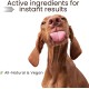 Dog Shampoo Coconut Dog Scrub Dog Shampoo Sensitive Dog Shampoo Against Odour Dog Shampoo Grooming Against Itching Deshedding Shampoo Dog Conditioner Anti Itching Dog Shampoo Coconut Dog Scrub Dog Shampoo Sensitive Dog Shampoo Against Odour Dog Shampoo Grooming Against Itching Deshedding Shampoo Dog Conditioner Anti Itching