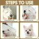 Dog grooming scissors, pet scissors, curved grooming scissors, hair scissors, grooming scissors for dogs and cats with round safety tip, stainless steel grooming scissors for dogs, cats and other Dog grooming scissors, pet scissors, curved grooming scissors, hair scissors, grooming scissors for dogs and cats with round safety tip, stainless steel grooming scissors for dogs, cats and other