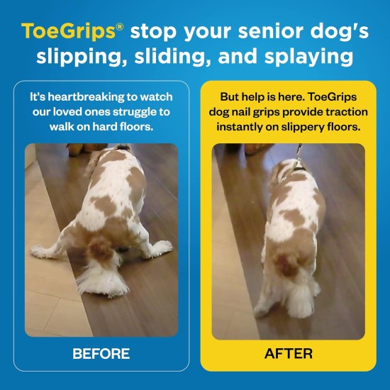 Dr Buzby's Large Toe Grips for Dogs - Instant Traction on Wood/Hardwood Floors - Non-Slip Relief for Dogs - Dog Grippers for Older Dogs - Stops Slipping Instantly - Rubber Nails for Dogs Dr Buzby's Large Toe Grips for Dogs - Instant Traction on Wood/Hardwood Floors - Non-Slip Relief for Dogs - Dog Grippers for Older Dogs - Stops Slipping Instantly - Rubber Nails for Dogs