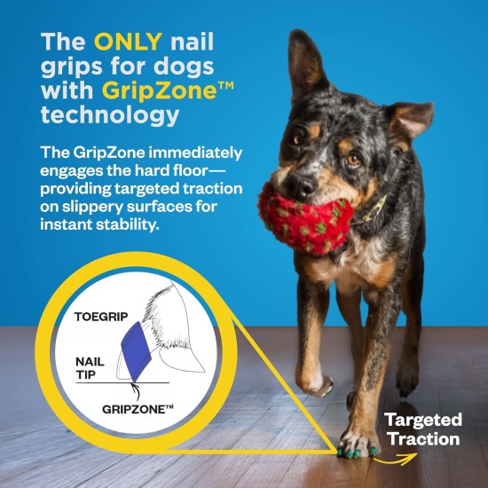 Dr Buzby's Large Toe Grips for Dogs - Instant Traction on Wood/Hardwood Floors - Non-Slip Relief for Dogs - Dog Grippers for Older Dogs - Stops Slipping Instantly - Rubber Nails for Dogs Dr Buzby's Large Toe Grips for Dogs - Instant Traction on Wood/Hardwood Floors - Non-Slip Relief for Dogs - Dog Grippers for Older Dogs - Stops Slipping Instantly - Rubber Nails for Dogs