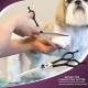 Dream Reach 6.5 Inch Professional Curved Dog Scissors Fur Scissors with Ergonomic Handle 440C Stainless Steel Safety Fur Scissors for Dogs Cats Cutting Black Dream Reach 6.5 Inch Professional Curved Dog Scissors Fur Scissors with Ergonomic Handle 440C Stainless Steel Safety Fur Scissors for Dogs Cats Cutting Black
