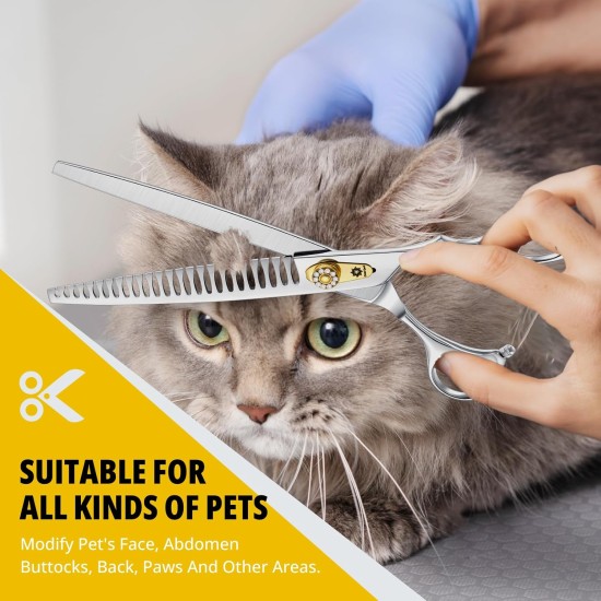 Dream Reach 8 Inch Dog Scissors Curved Fur Scissors - Dog Scissors with Ergonomic Handle, 440C Stainless Steel Fur Scissors for Dogs Cats Cutting, Professional Dog Hair Scissors with Adjustable Screw Dream Reach 8 Inch Dog Scissors Curved Fur Scissors - Dog Scissors with Ergonomic Handle, 440C Stainless Steel Fur Scissors for Dogs Cats Cutting, Professional Dog Hair Scissors with Adjustable Screw