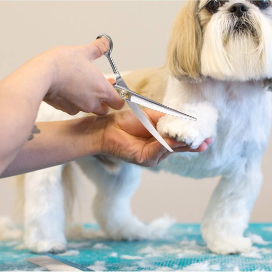 Dream Reach Professional Dog Scissors Curved Dog Grooming Scissors Pet Care Curved Scissors Made of 440C Japanese Stainless Steel Grooming for Dogs Cats (7 Inch Curved Scissors) Dream Reach Professional Dog Scissors Curved Dog Grooming Scissors Pet Care Curved Scissors Made of 440C Japanese Stainless Steel Grooming for Dogs Cats (7 Inch Curved Scissors)