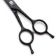 Dream Reach Professional Japan 440C Pet Grooming Scissors 7inch (17.8 cm) and Set Dream Reach Professional Japan 440C Pet Grooming Scissors 7inch (17.8 cm) and Set
