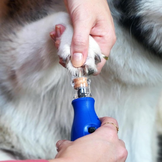 Dremel 7350 PET Claw Care with 3.6 V Battery Rotary Tool, Easy to Use, Lightweight Claw Grinder with 2 Sanding Accessories, 1 Protective Cover and 1 USB Cable, Suitable for Dogs and Cats Dremel 7350 PET Claw Care with 3.6 V Battery Rotary Tool, Easy to Use, Lightweight Claw Grinder with 2 Sanding Accessories, 1 Protective Cover and 1 USB Cable, Suitable for Dogs and Cats