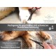 Exclusive Dog Grooming Scissors in Black 10.16 cm 4 Inches Exclusive Dog Grooming Scissors in Black 10.16 cm 4 Inches