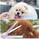 FINEASY Dog Scissors Set, Curved Dog Scissors, Fur Scissors for Dogs and Cats, Including Thinning Scissors, Curved Scissors, Grooming Comb, Stainless Steel Fur Scissors for Dogs and Cats (Blue)