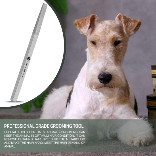 FLAMIA & JABZ Metal Stones & Nail File for Dogs, Cats and Pets (13mm) FLAMIA & JABZ Metal Stones & Nail File for Dogs, Cats and Pets (13mm)