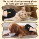 Fellmagnet Gloves 2025 - Double-Sided Grooming Gloves for Cats/Dogs, Antistatic Hair Removal on Sofa & Clothes, Reusable with Massage Function for Shiny Animal Fur - Pack of 2 Fellmagnet Gloves 2025 - Double-Sided Grooming Gloves for Cats/Dogs, Antistatic Hair Removal on Sofa & Clothes, Reusable with Massage Function for Shiny Animal Fur - Pack of 2