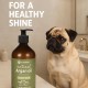 Flamingo Dog Shampoo - with Argan Oil - for Dogs with Long Fur 500 ml - Suitable for All Fur and Skin Types - Natural Shine of the Coat - Sensitive