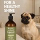 Flamingo Dog Shampoo with Argan Oil for Dogs with a Dark Coat 500 ml Suitable for All Fur and Skin Types Nourishes and Nourishes the Coat Strengthens the Colour and Shine of the Dark Coat
