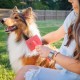 Flying Pawfect Pet Slicker Brush with Soft Flexible Massage Pens, Detangling and Deshedding for Thick Coat, Loose Hair and Undercoat, Professional Grooming Tool Flying Pawfect Pet Slicker Brush with Soft Flexible Massage Pens, Detangling and Deshedding for Thick Coat, Loose Hair and Undercoat, Professional Grooming Tool