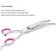 Freewindo Dog Scissors Set Professional with Safety Round Tip, Including Straight Scissors Dog Thinning Scissors Dog Scissors Fur Scissors Curved and Comb for Dog Cat Hair Care